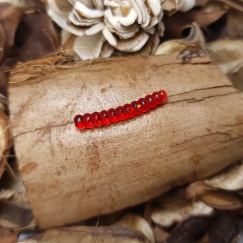 przyneta-gasienica-bratkobaits-handmade.webp