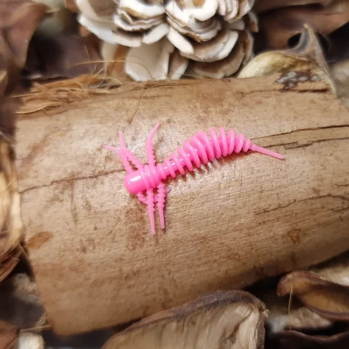 sarlak-mikro-przyneta-gumowa.webp