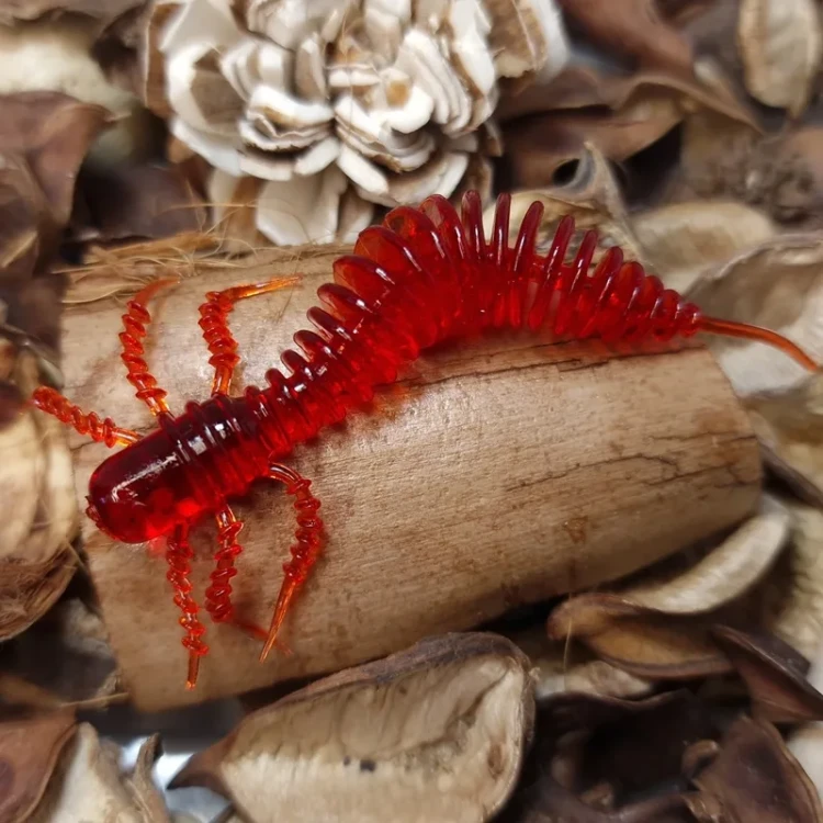 bratkobaits-sarlak-70mm-handmade.webp