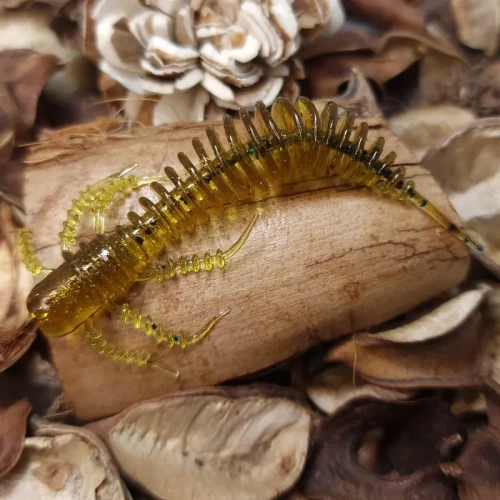 handmade-sarlak-bratkobaits-softlures.webp