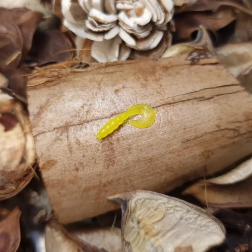 bratkobaits-twister-yellow-handmade.webp