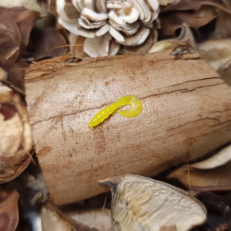 bratkobaits-twister-yellow-handmade.webp