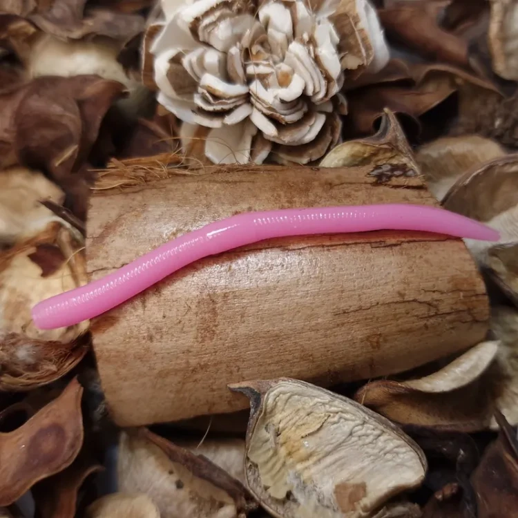 przyneta-bratkobaits-glizdzion-pink.webp