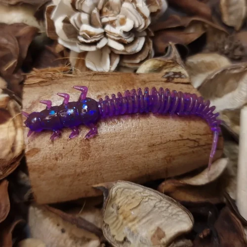 bratko-baits-robal-70-mm-violet.webp