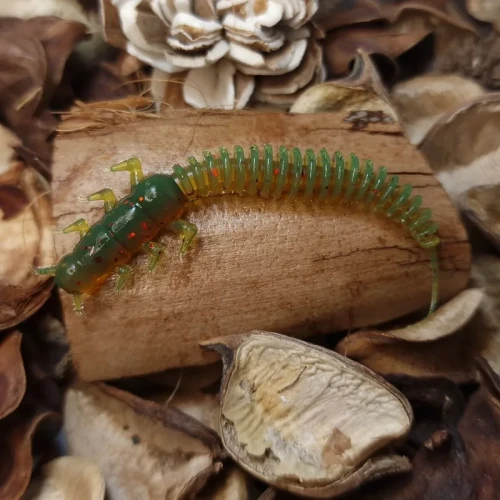 bratkobaits-robal-motoroil-green-handmade.webp