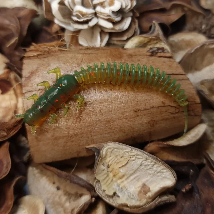 bratkobaits-robal-motoroil-green-handmade.webp