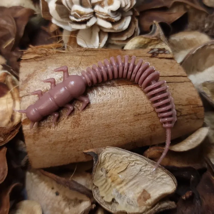 robal-coffee-bratkobaits-handmade.webp