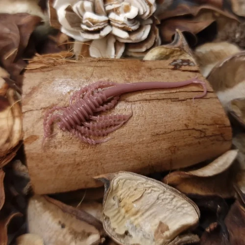 przyneta-bratkobaits-alien-5cm-handmade.webp