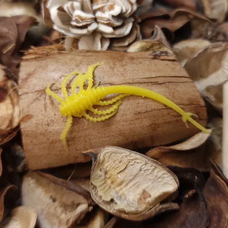 przyneta-gumowa-alien-50-yellow.webp