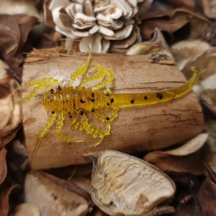 bratkobaits-citron-alien-7.webp