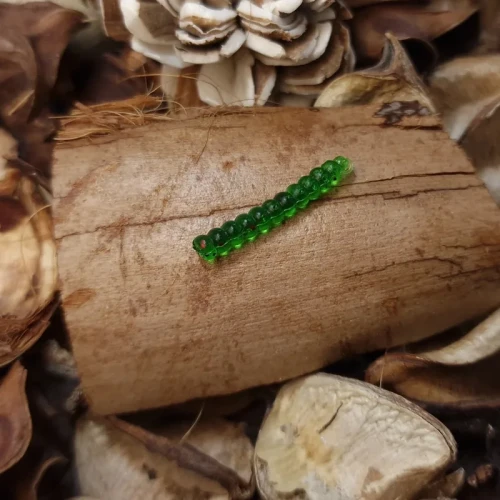 gasienica-transparent-green-bratkobaits.webp