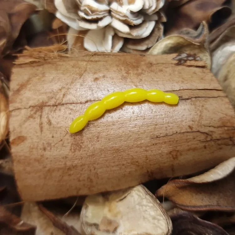 przyneta-gumowa-bratko-ochotka-30mm-yellow-softlures.webp
