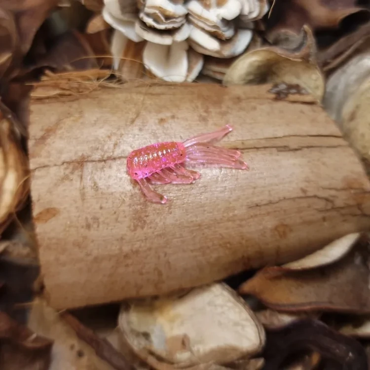 rekodzielo-wedkarskie-kielz-pinky-pink.webp