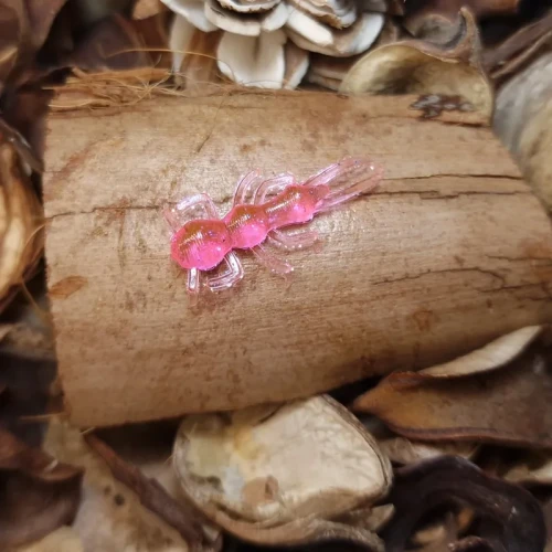bratko-baits-mrowka-pinky-pink-rekodzielowedkarskie.webp