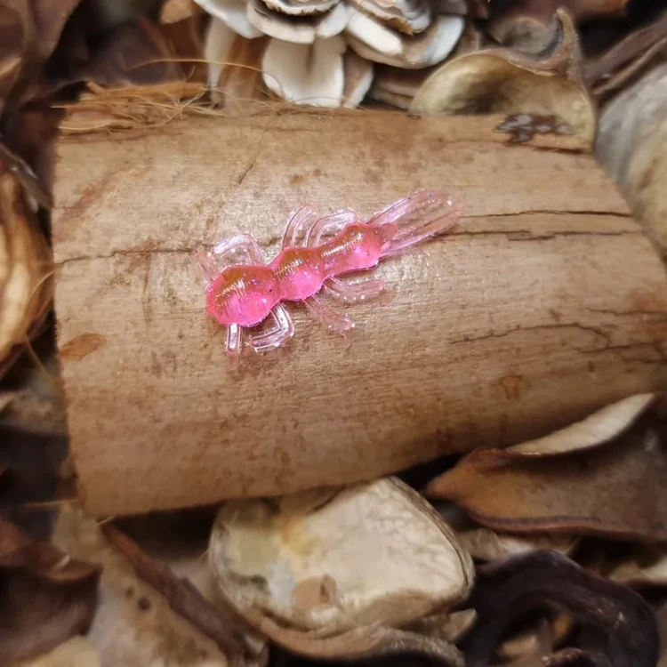 bratko-baits-mrowka-pinky-pink-rekodzielowedkarskie.webp