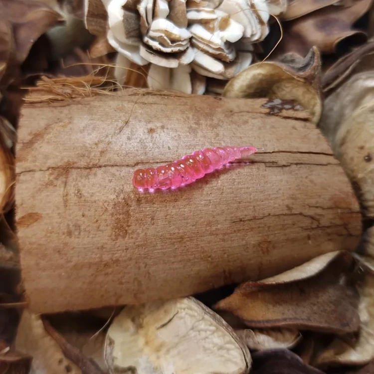 bratko-larwa-muchy-20-mm-pinky-pink.webp