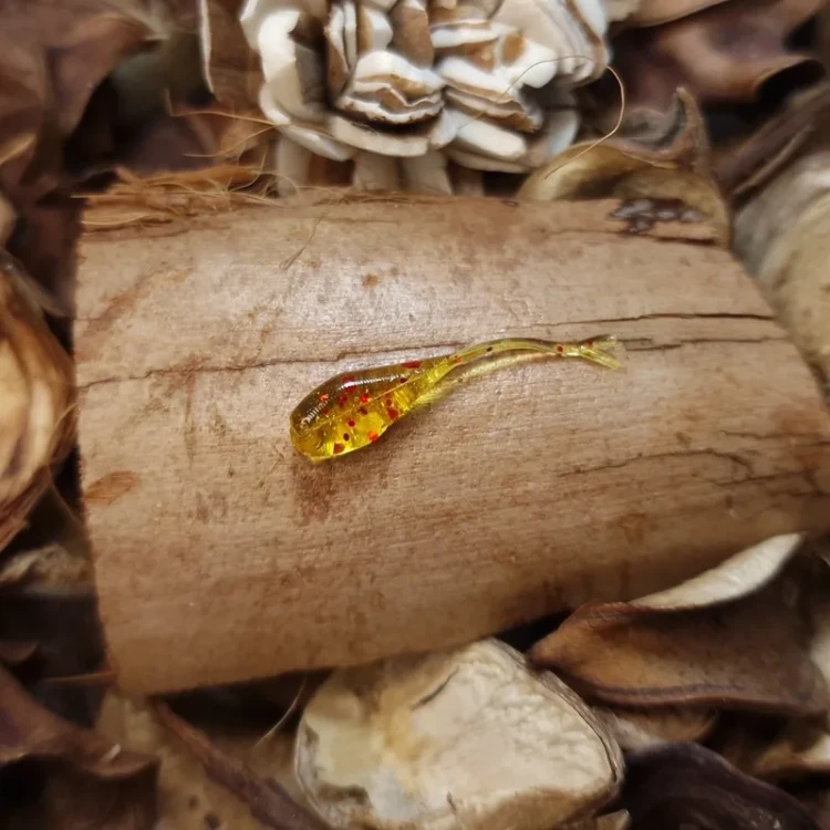 bratko-jaskolka-citron-red-rekodzielo.webp