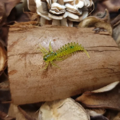 bratko-sarlak-mikro-grass-green-rekodzielowedkarskie.webp