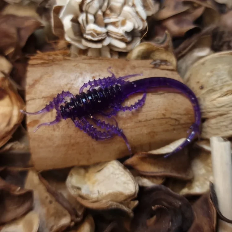 bratkobaits-alien-70-dark-violet-softlures.webp