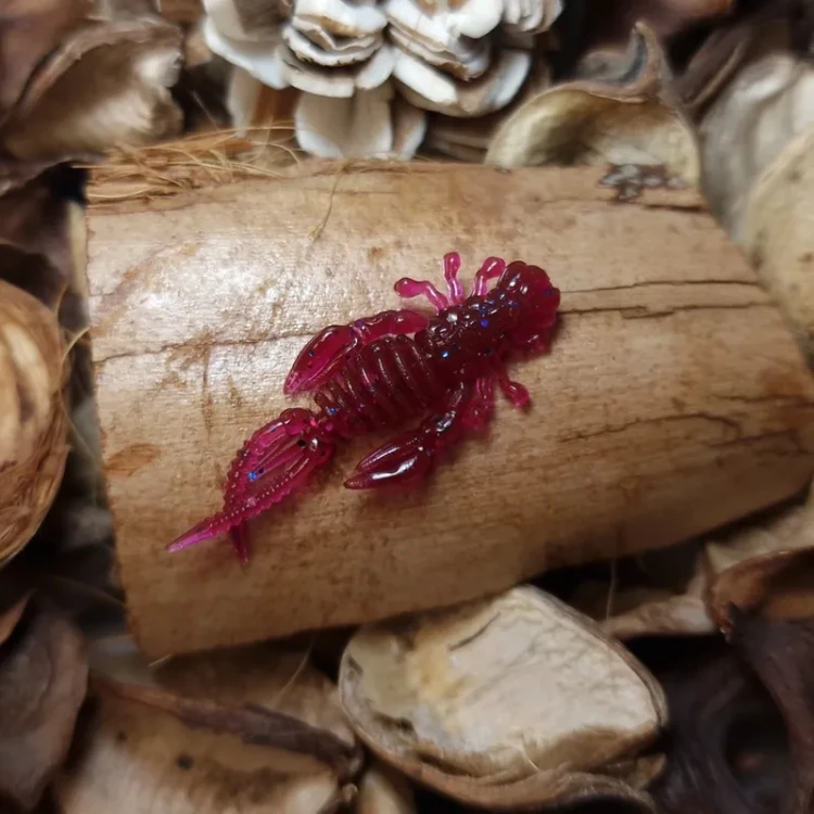 bratkobaits-przyneta-monster-magenta-pepper.webp