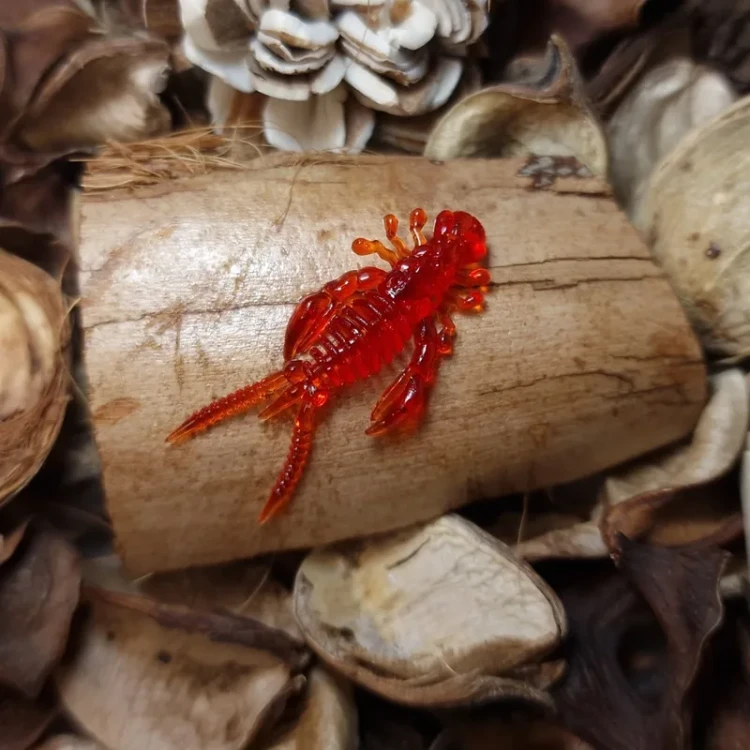 monster-mikro-red-bratkobaits-handmade.webp