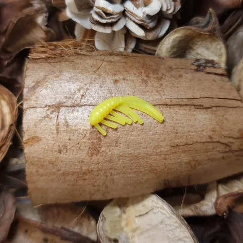 przyneta-kielz-20mm-yellow-rekodzielowedkarskie-milion-ryb.webp