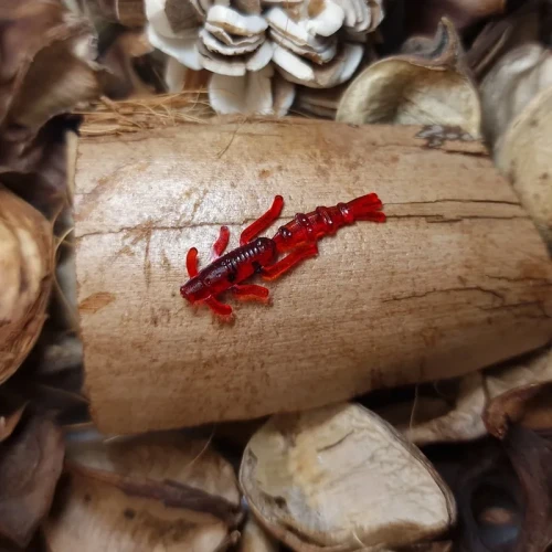 milion-ryb-szczypawka-red-25mm-rekodziewedkarskie.webp