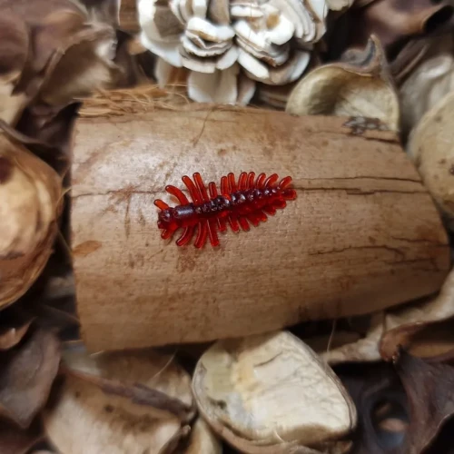 przyneta-zuk-red-20mm-milion-ryb.webp