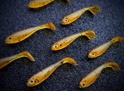 fishchaser-minimaster-amber.webp