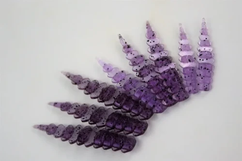 drago worm  violet and pepper ultralight softbait przyneta fishchaser.webp