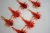 microlarvae jetka chilli and pepper ultralight soft lure przyneta fishchaser.webp