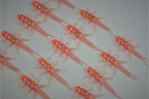 microlarvae widelnica rose ultralight softbait przynęta fishchaser.webp