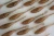 minimaster pintail goldfish ultralight soft bait przyneta fishchaser.webp