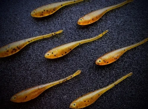 fishchaser-minimaster-pintail-amber.webp