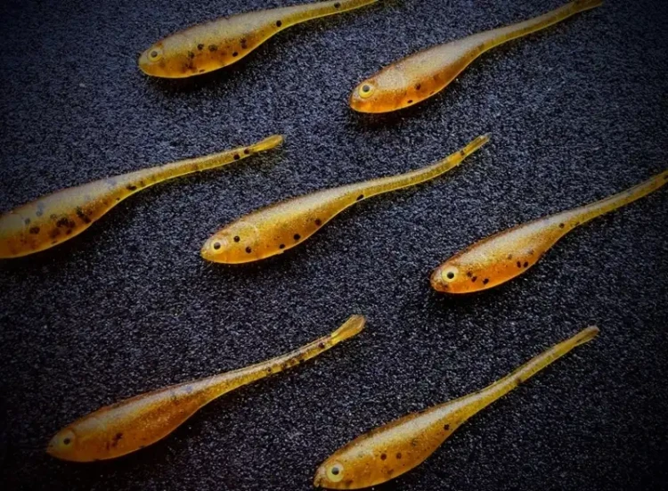 fishchaser-minimaster-pintail-amber.webp