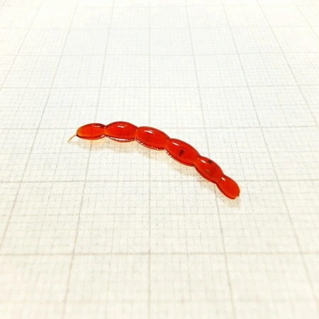 Ochotka 30mm BratkoBaits Handmade Red.webp