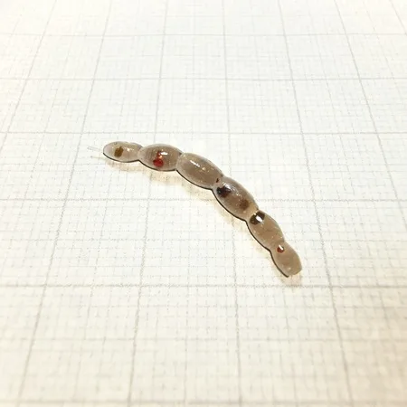 Ochotka 30mm Transparent Black BratkoBaits Woldanski.webp