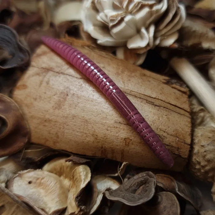 dzdzownica_collba_baits_studio_handmade.webp