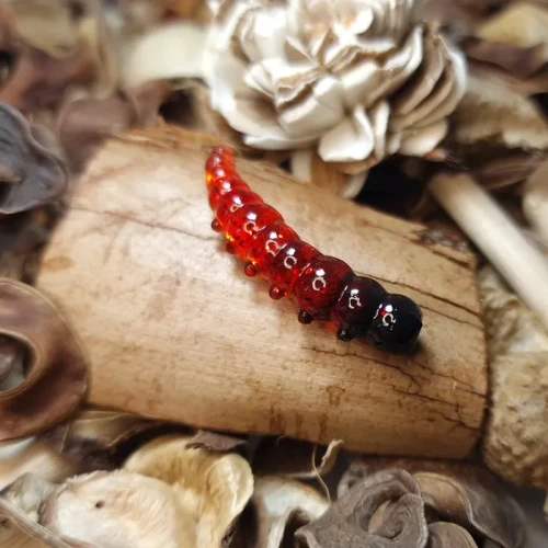 softlures_larvae_collab_baits_handmade.webp