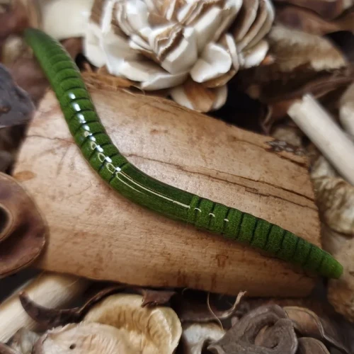 przyneta-gumowa-collab-baits-handmade.webp