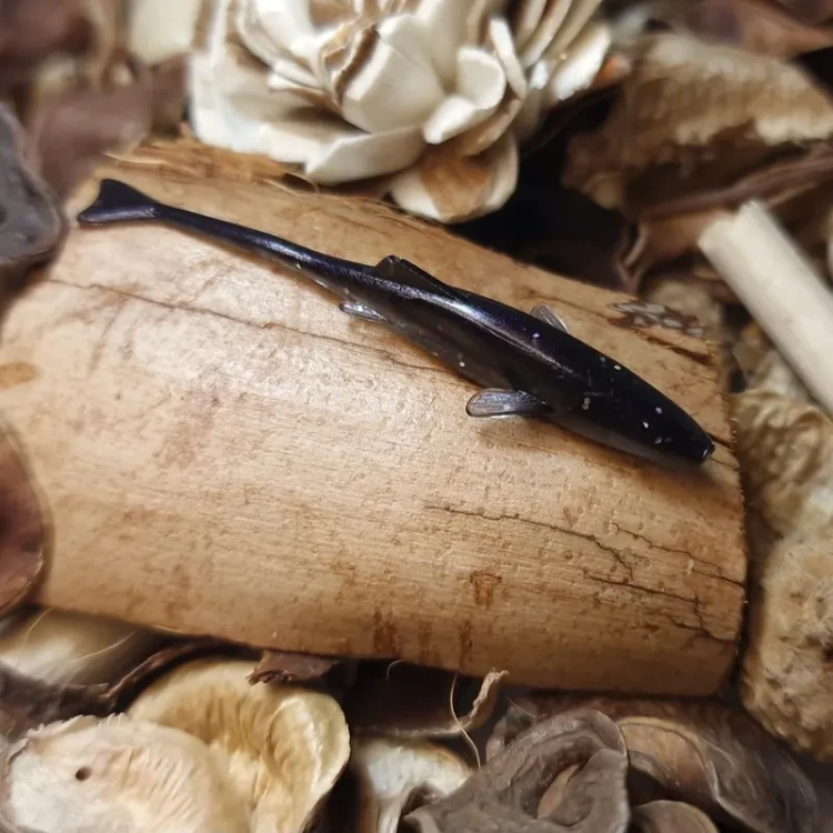handmade-lures-vibra-fishchaser.webp