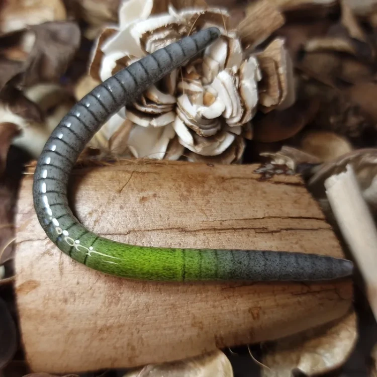 przyneta-dzdzownica-grey-green-collab-baits-handmade.webp