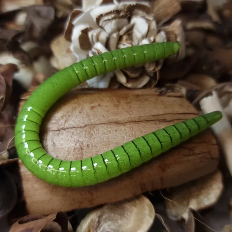 dzdzownica-120mm-collab-baits-green-handmade.webp