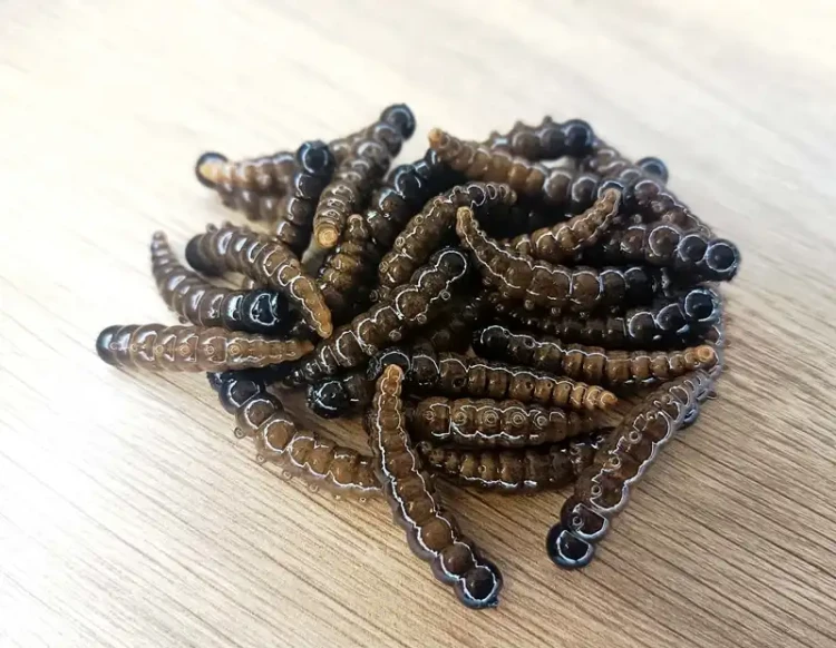 przyneta-larwa-collab-baits-brown.webp