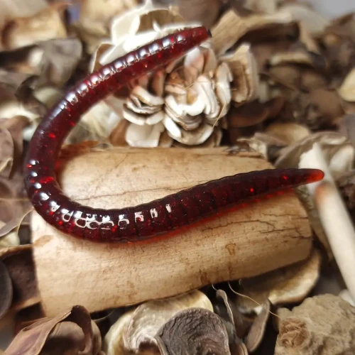 przyneta-gumowa-dzdzownica-ochotka-collab-baits.webp