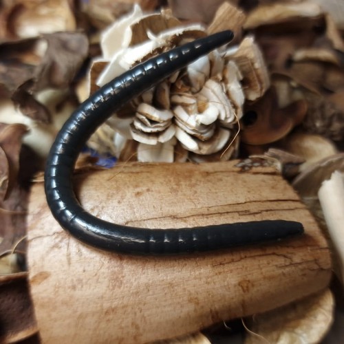 przyneta-robal-dzdzownica-black-collab-baits-handmade.jpg
