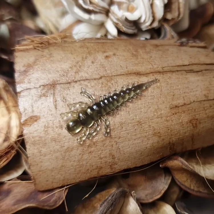przyneta-gumowa-larwa-zylenicy-25mm-mrbaits-softlures.webp