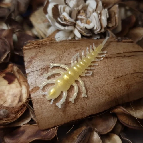 larwa-zylenicy-gold-mrbaits-handmade-lures.webp