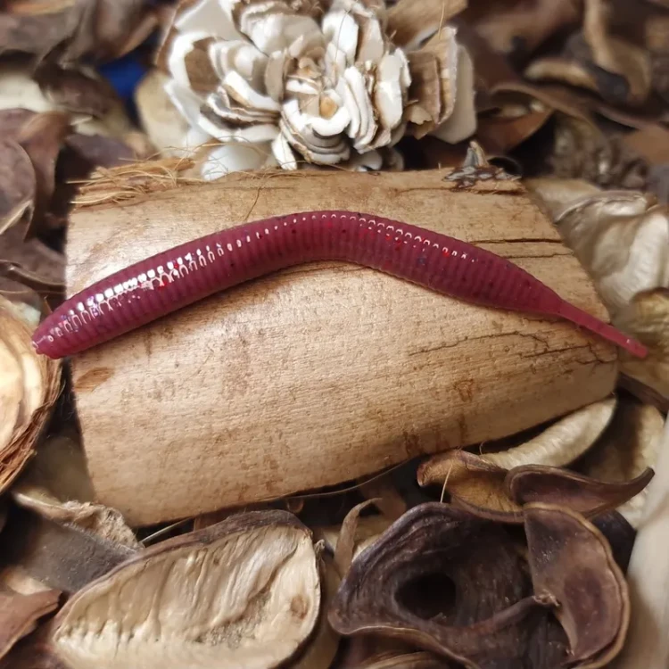 pijawka-origin-handmade-lures.webp