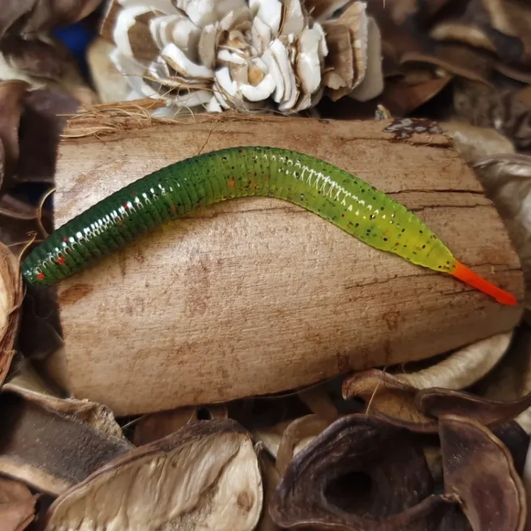 przyneta-pijawka-handmade-collab-baits-studio.webp